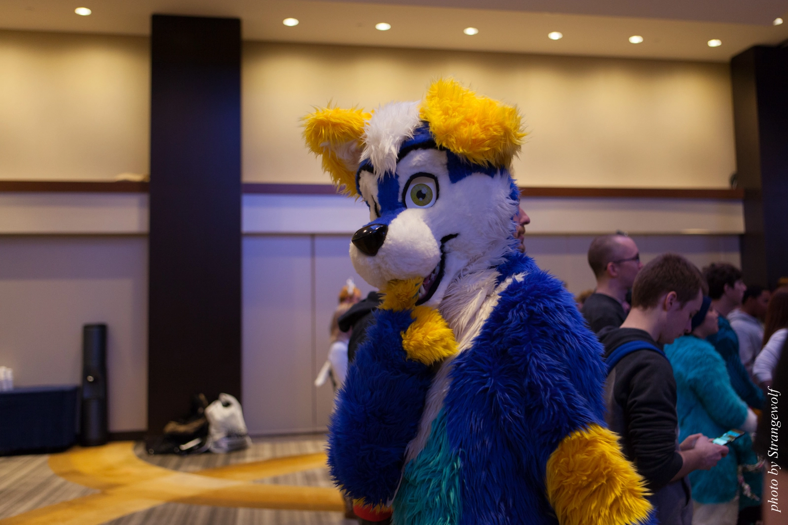 full image IMG_6027-lr16t.jpg