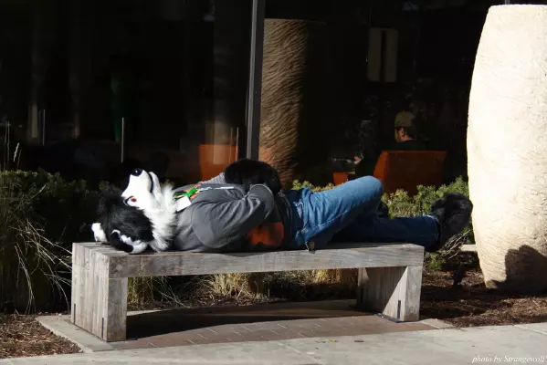 IMG_0916-lr.jpg of MFF/MFF2013/
