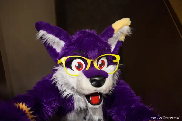 IMG_1010-lr16t.jpg of FC/FC2017/