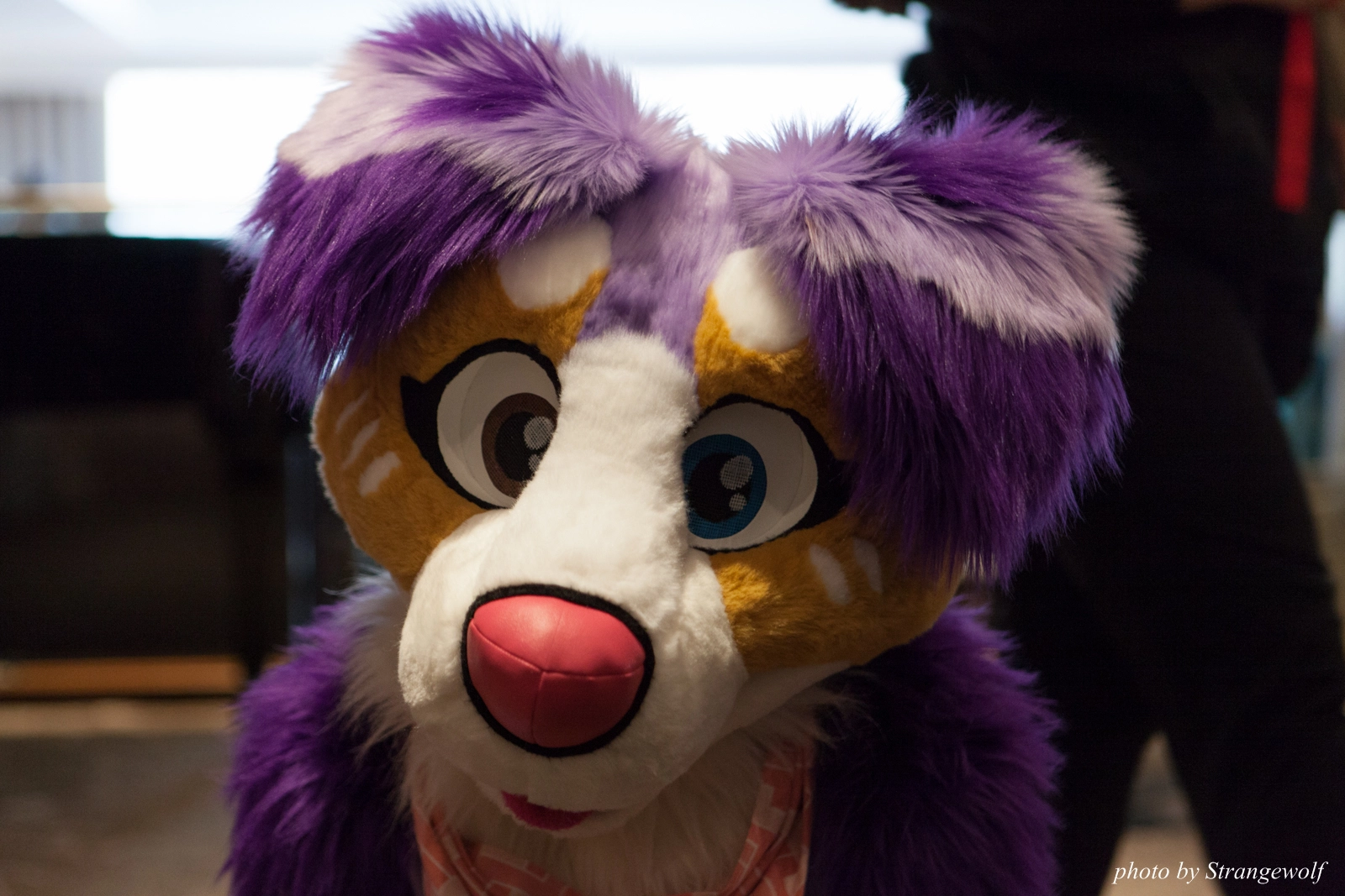 full image IMG_7467-lr16t.jpg