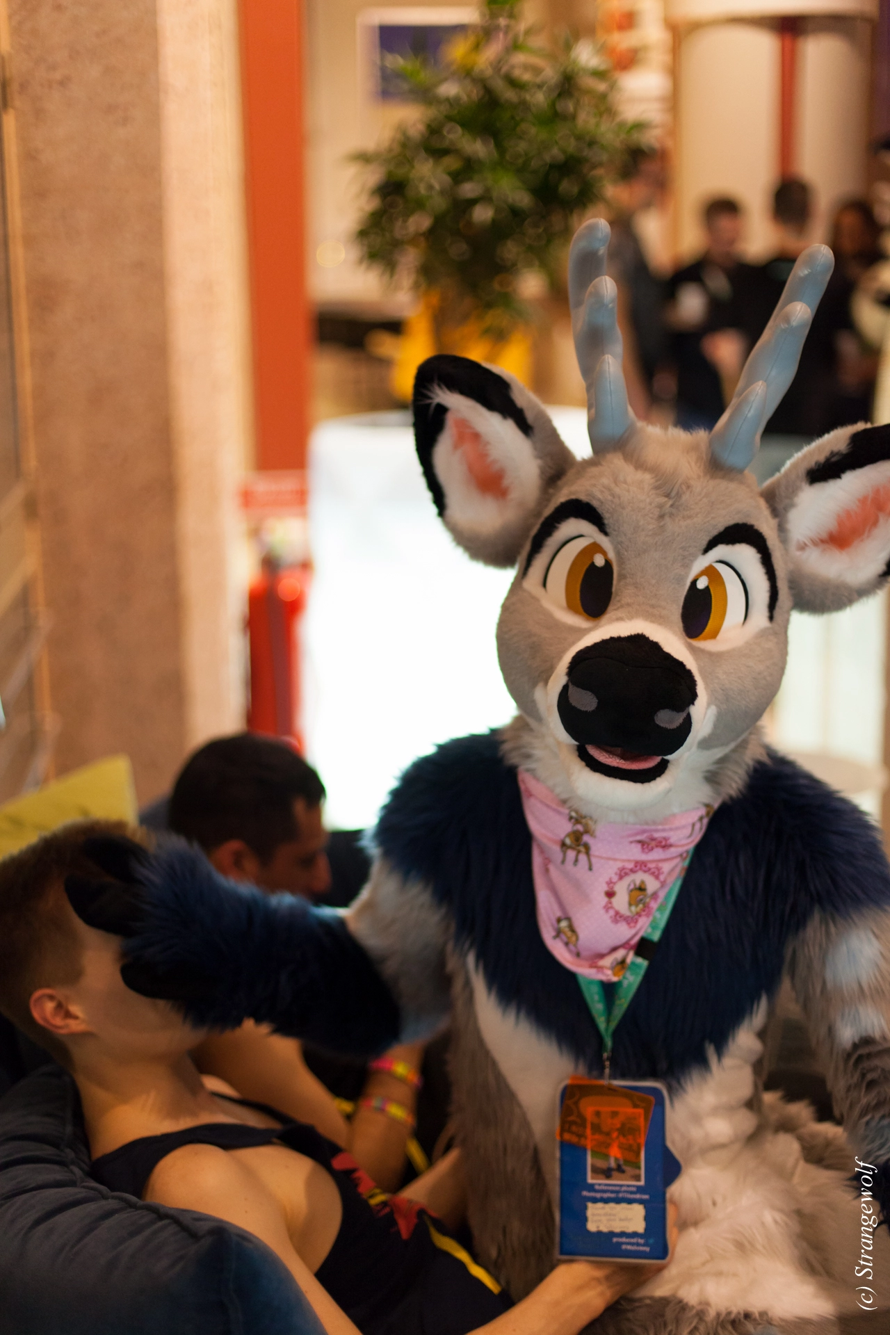 full image IMG_9766-lr19t.jpg