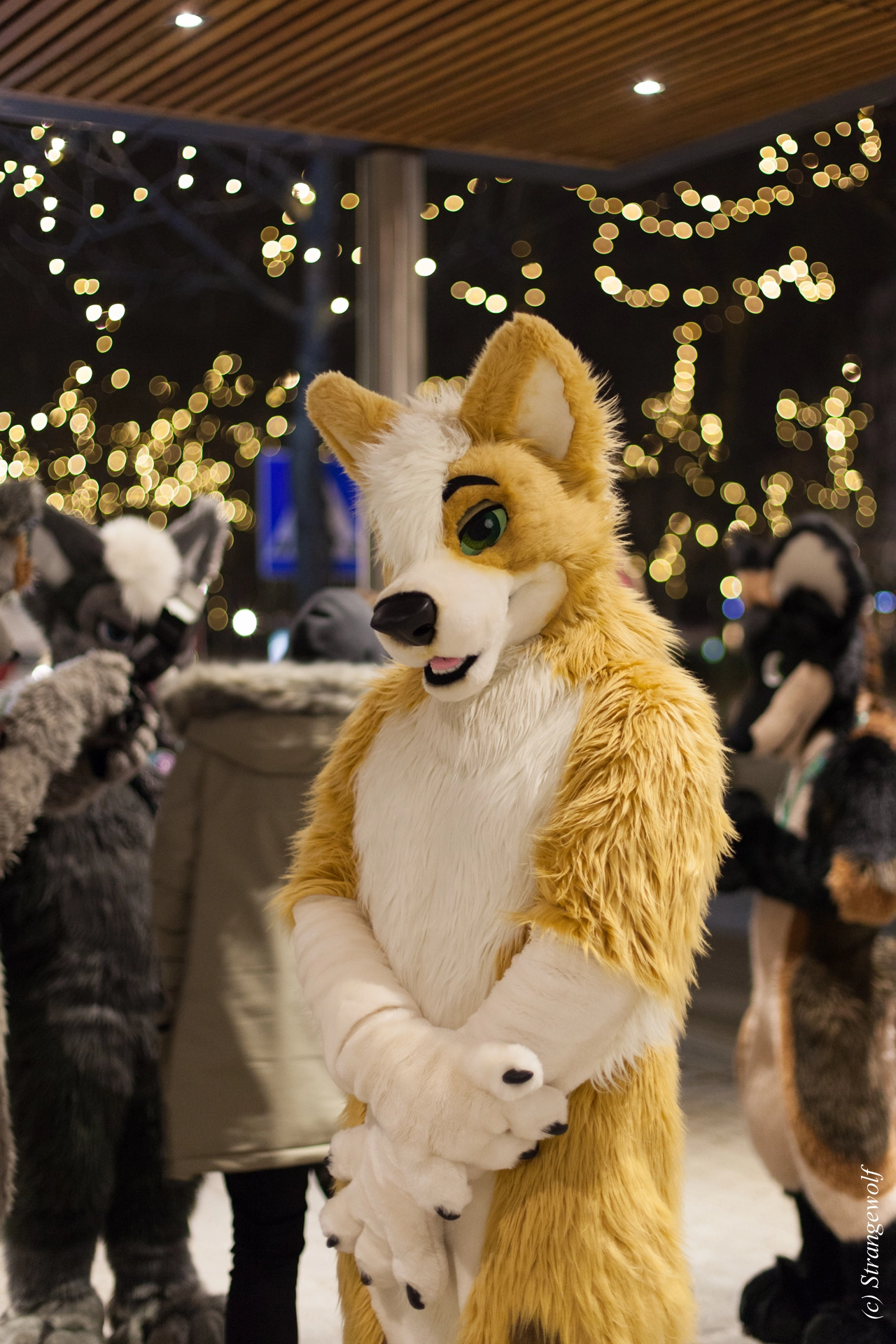 full image IMG_9417-lr19t.jpg