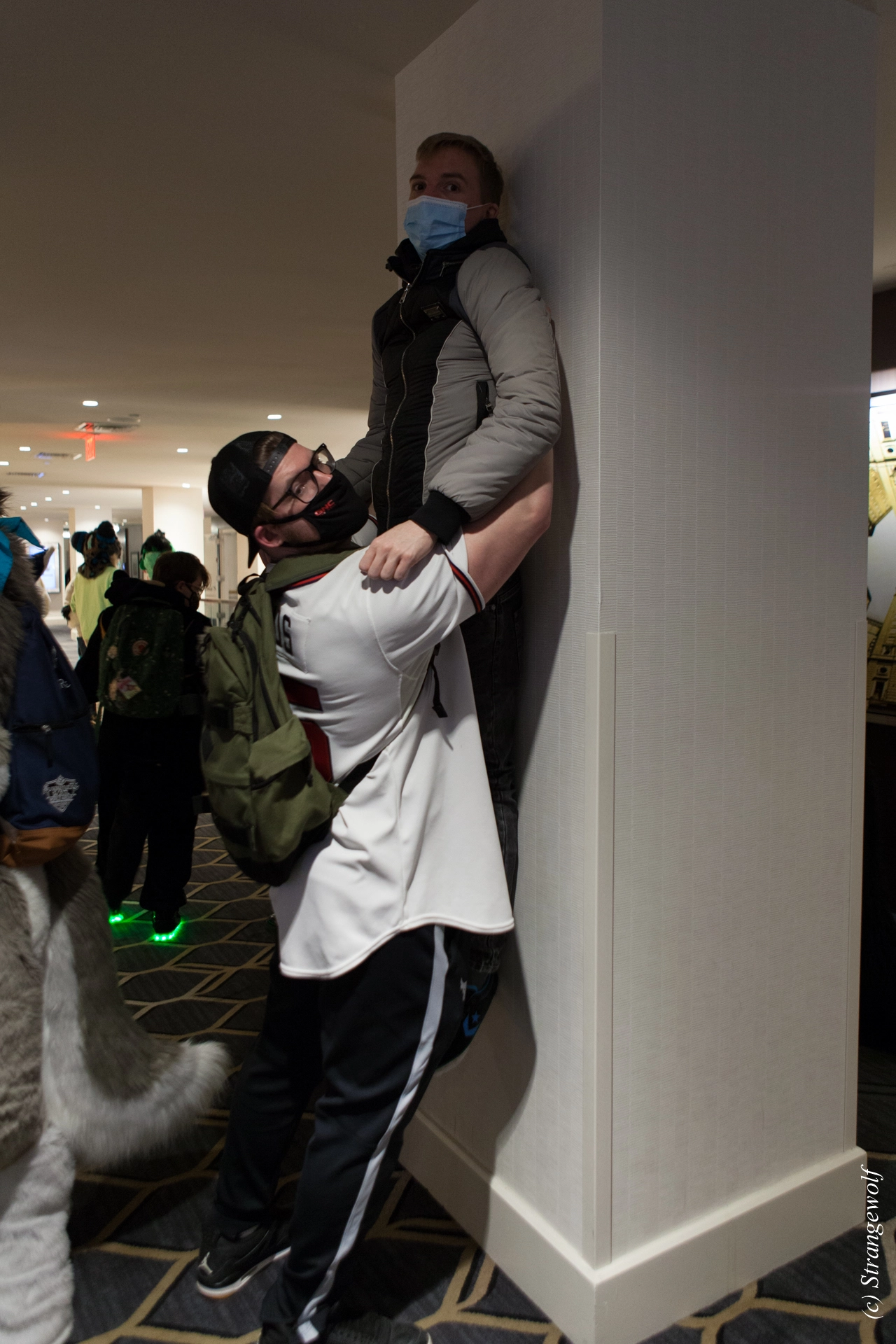 full image IMG_3434-lr19t.jpg