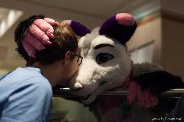 IMG_7710-lr16t.jpg of CFZ/CFZ2016/