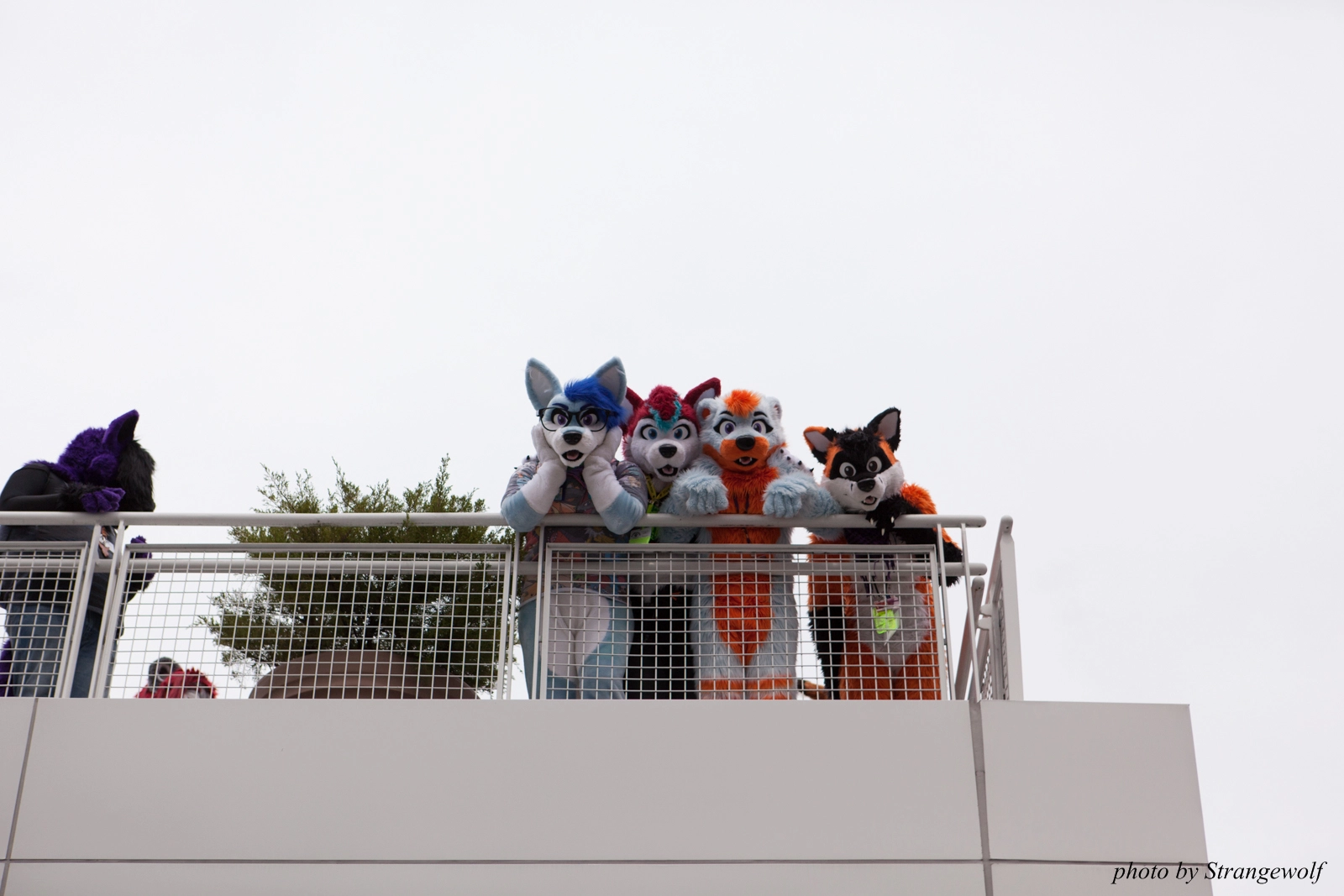 full image IMG_8201-lr16t.jpg