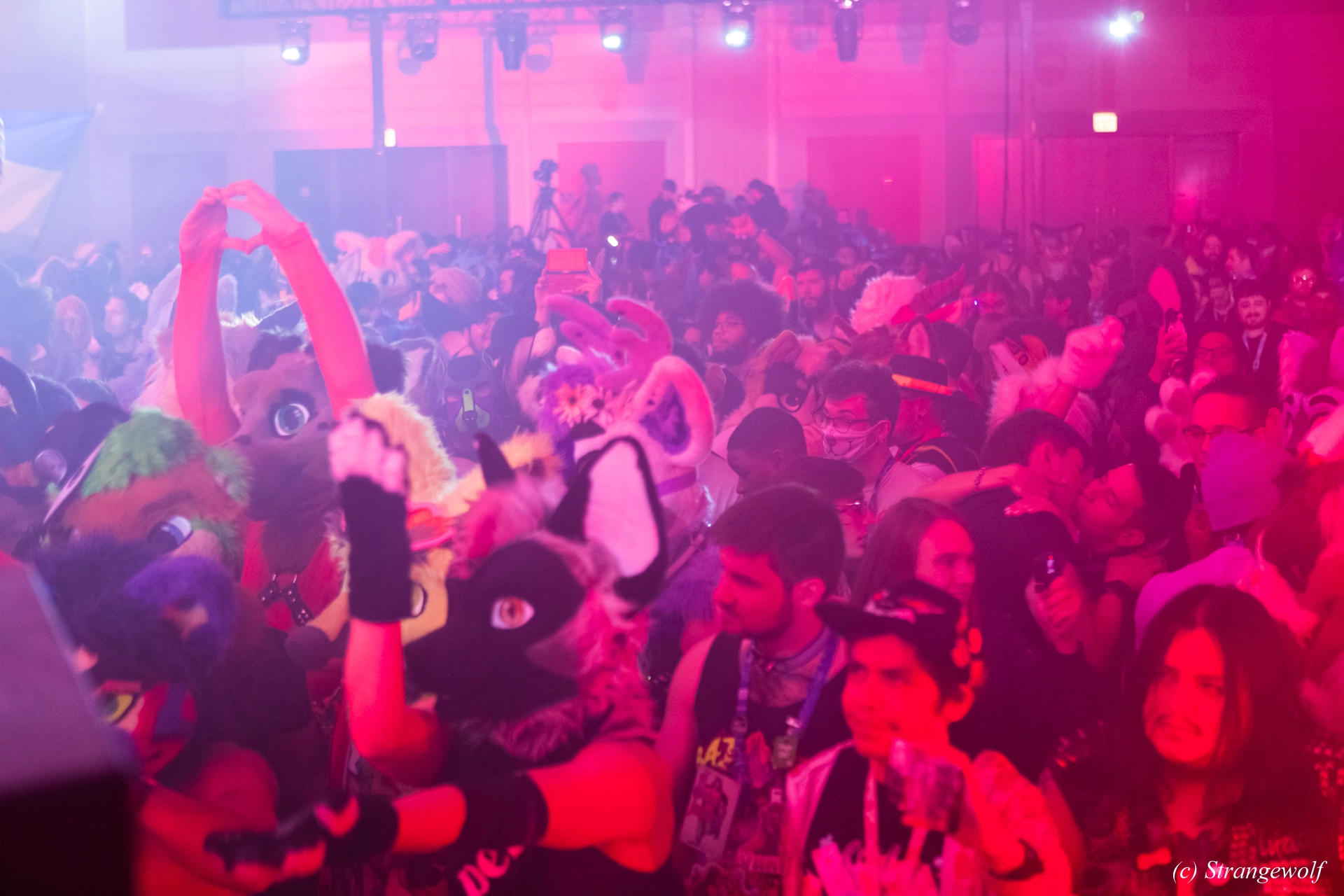 full image 1R3A7115-lr19t.jpg