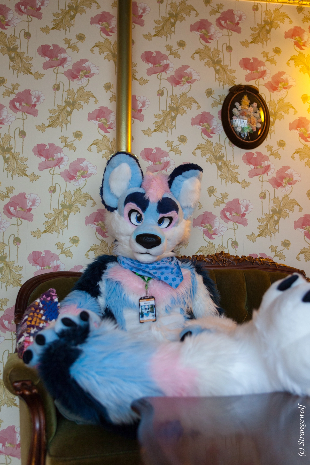 full image IMG_8483-lr19t.jpg