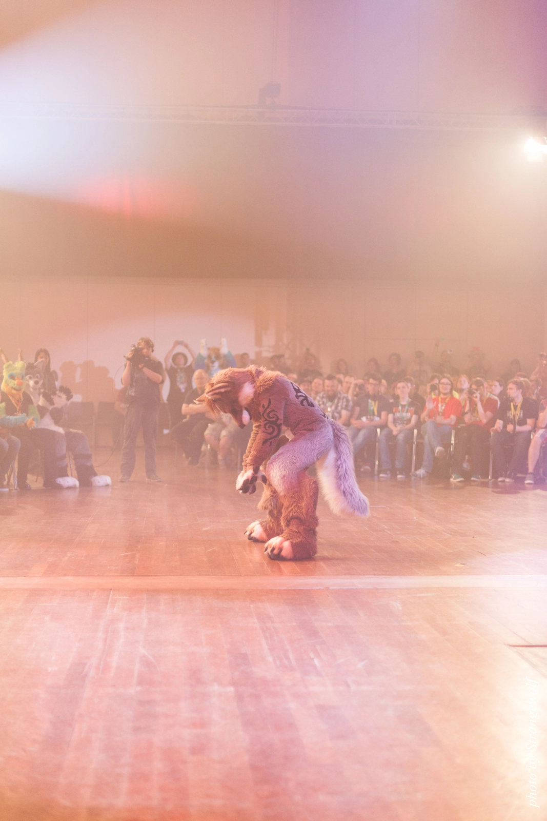 full image IMG_2736-lr16t.jpg