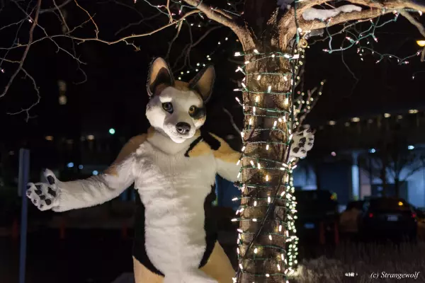 IMG_7188-lr19t.jpg of MFF/MFF2018/