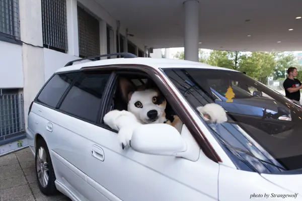 IMG_6839-lr19t.jpg of EF/EF23/MotorFurs/