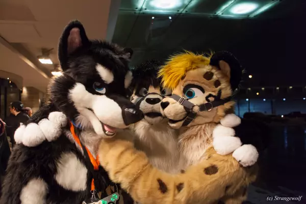 IMG_6850-lr19t.jpg of MFF/MFF2018/