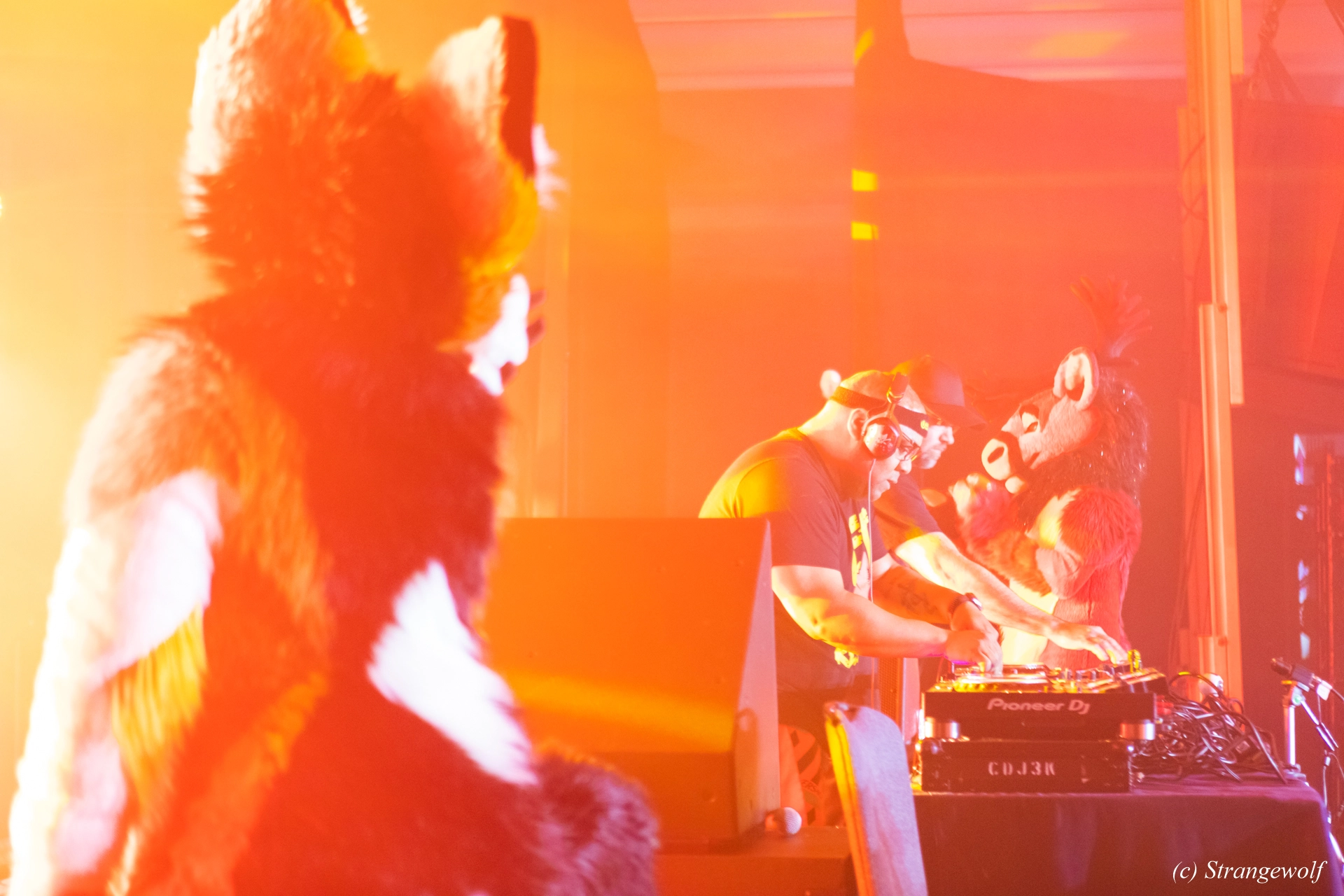 full image 1R3A5234-lr19t.jpg