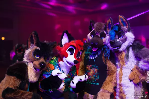 IMG_8013-lr19t.jpg of MFF/MFF2019/