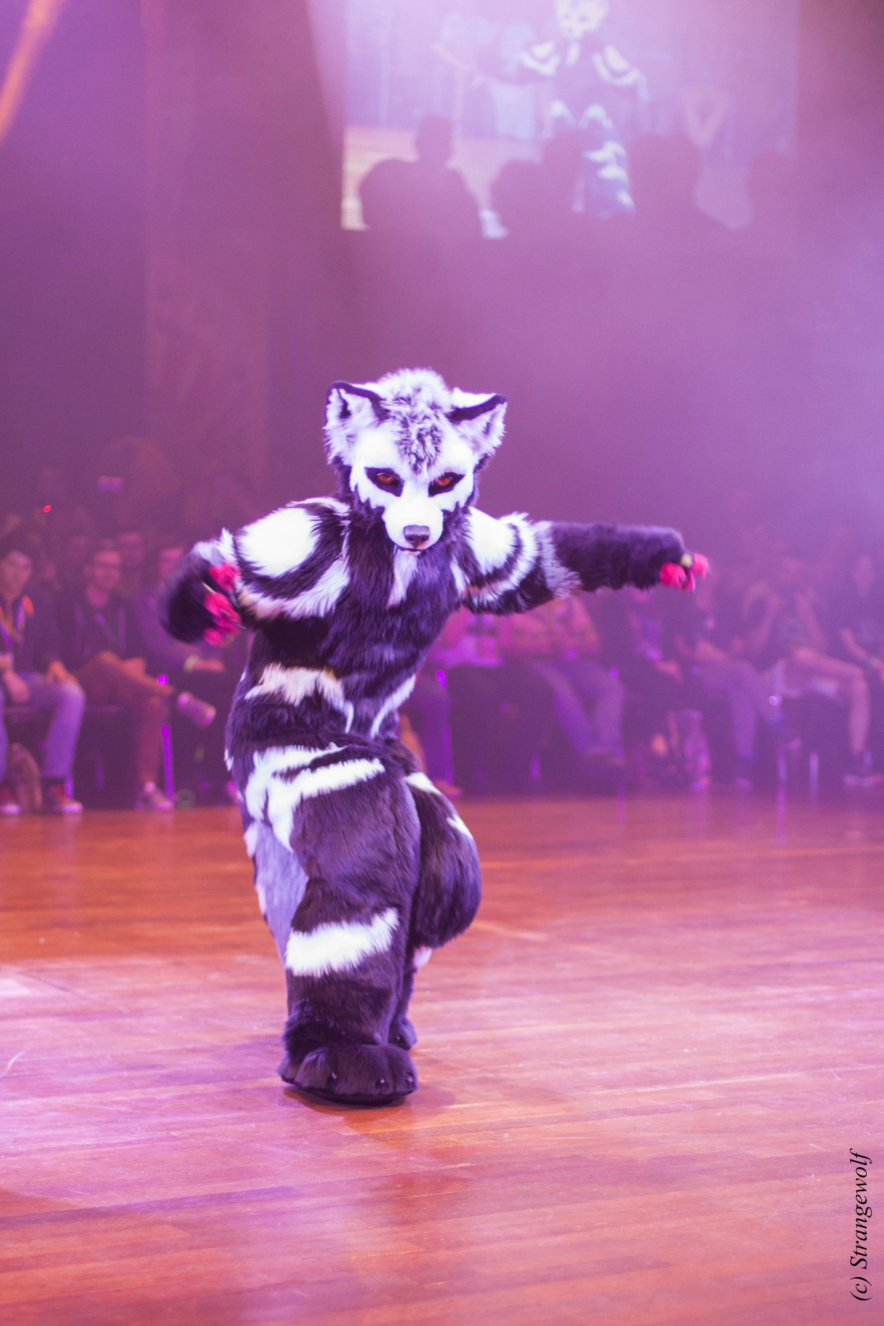 full image IMG_6524-lr19t.jpg