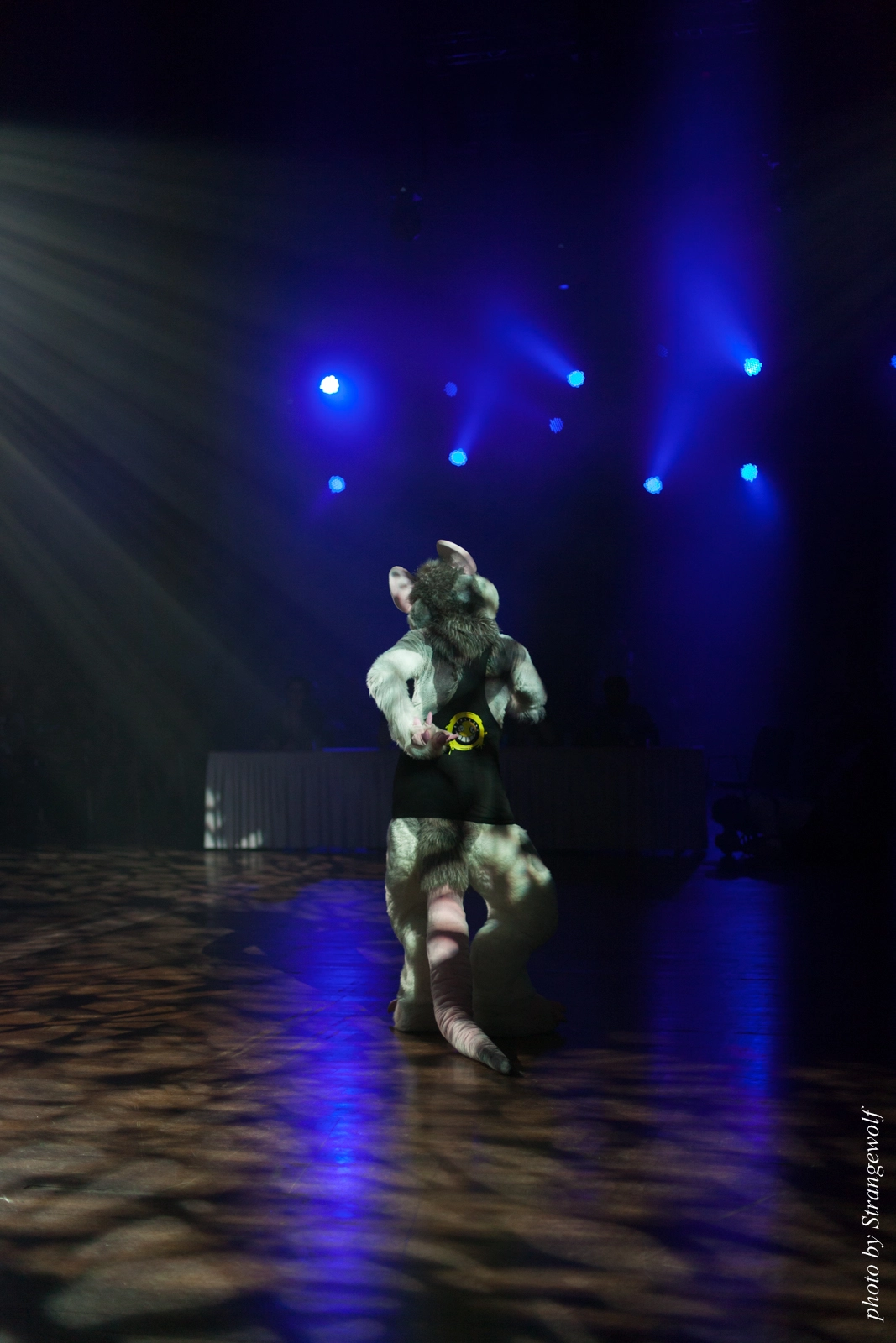 full image IMG_9087-lr16t.jpg