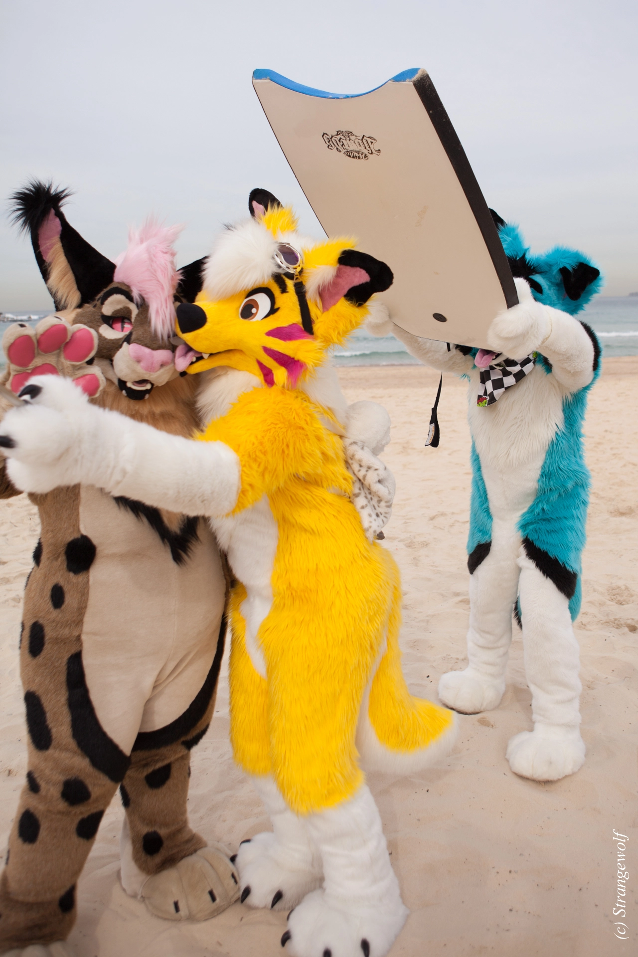 full image IMG_4484-lr19t.jpg