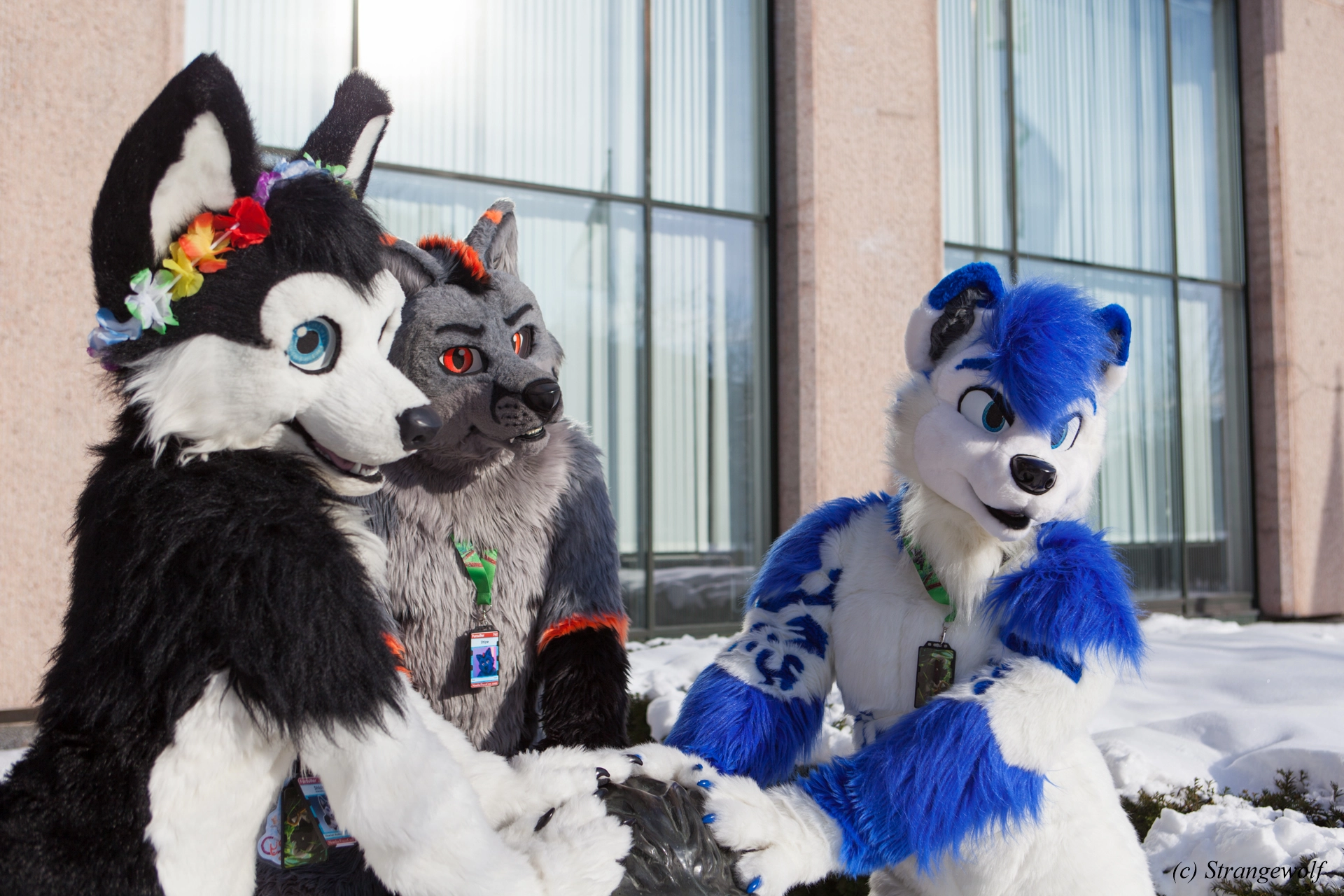 full image IMG_9667-lr19t.jpg