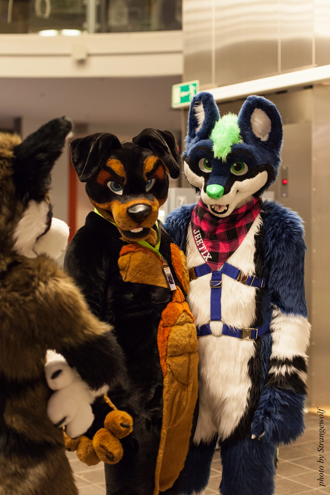 full image IMG_1973-lr16t.jpg