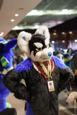 IMG_8118-lr19t.jpg of MFF/MFF2017/