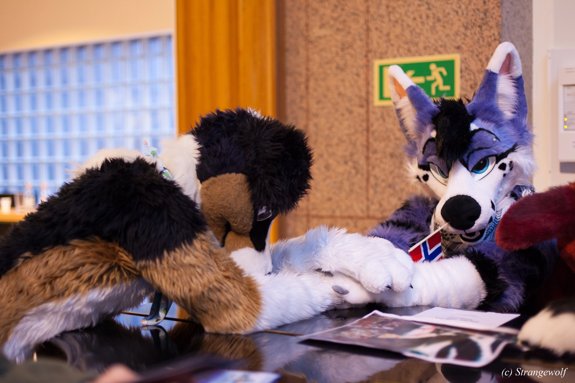 full image IMG_9594-lr19t.jpg