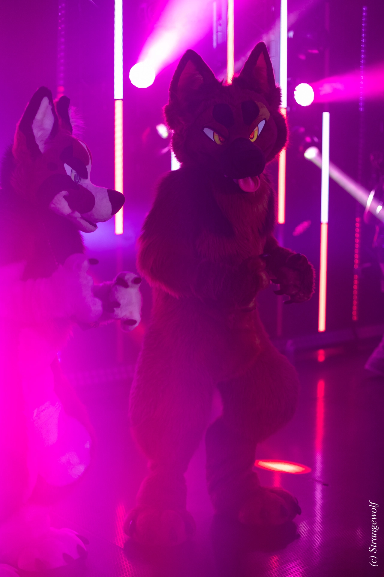 full image 1R3A5676-lr19t.jpg