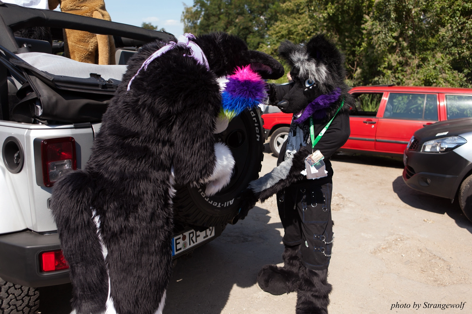 full image IMG_2314-lr16t.jpg