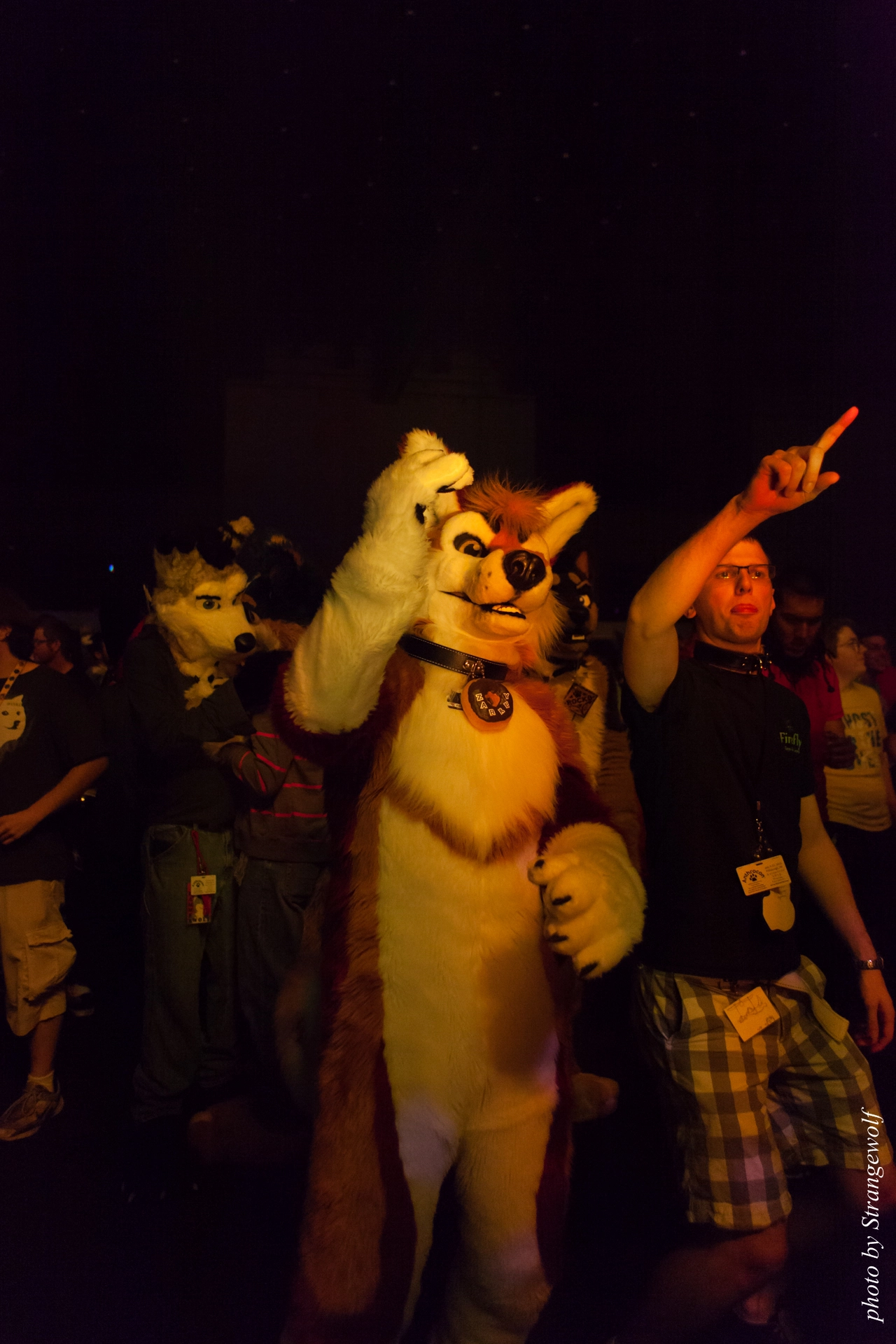 full image IMG_0291-lr19t.jpg