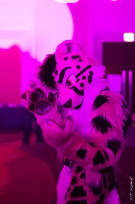 IMG_1942-lr19t.jpg of MFF/MFF2021/Dances/