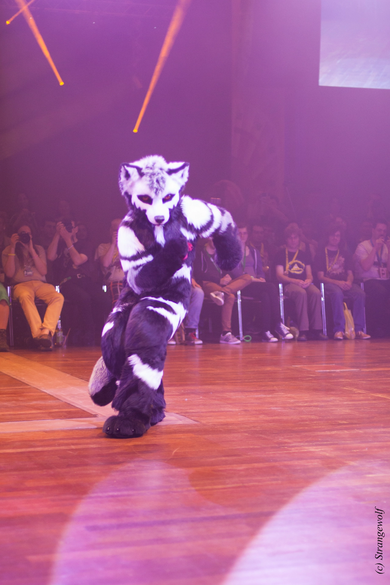 full image IMG_6536-lr19t.jpg