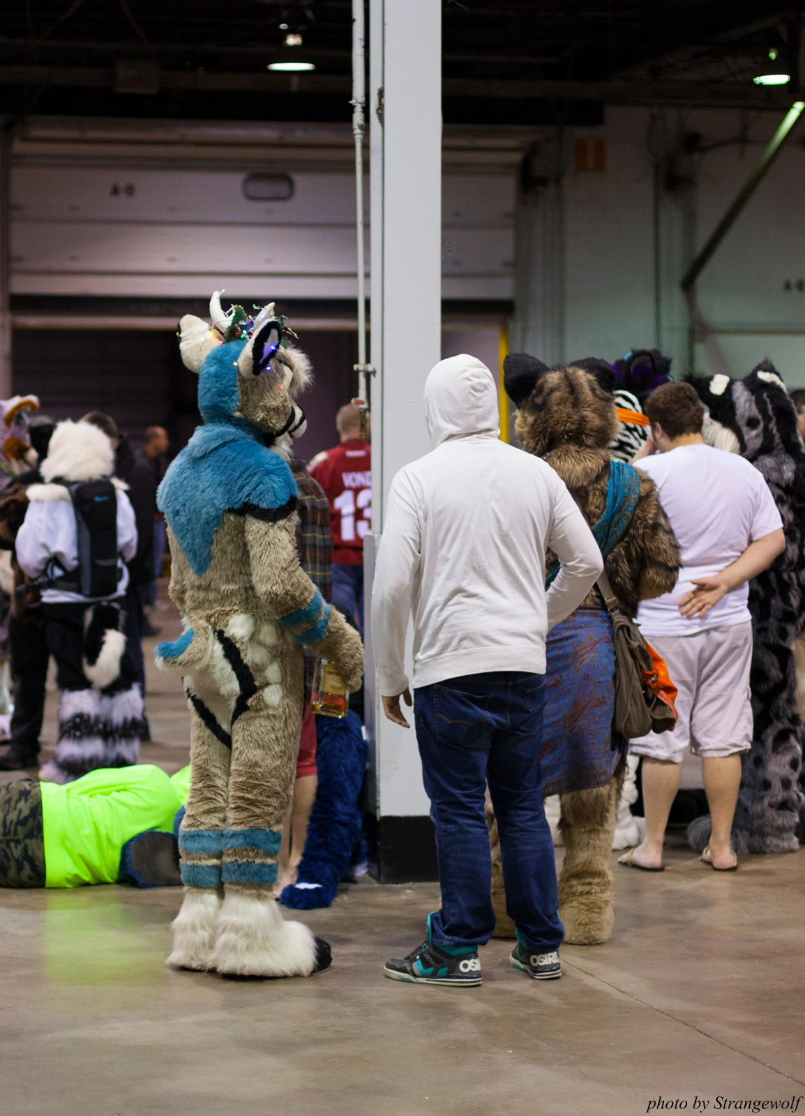 full image IMG_6481-lr16t.jpg