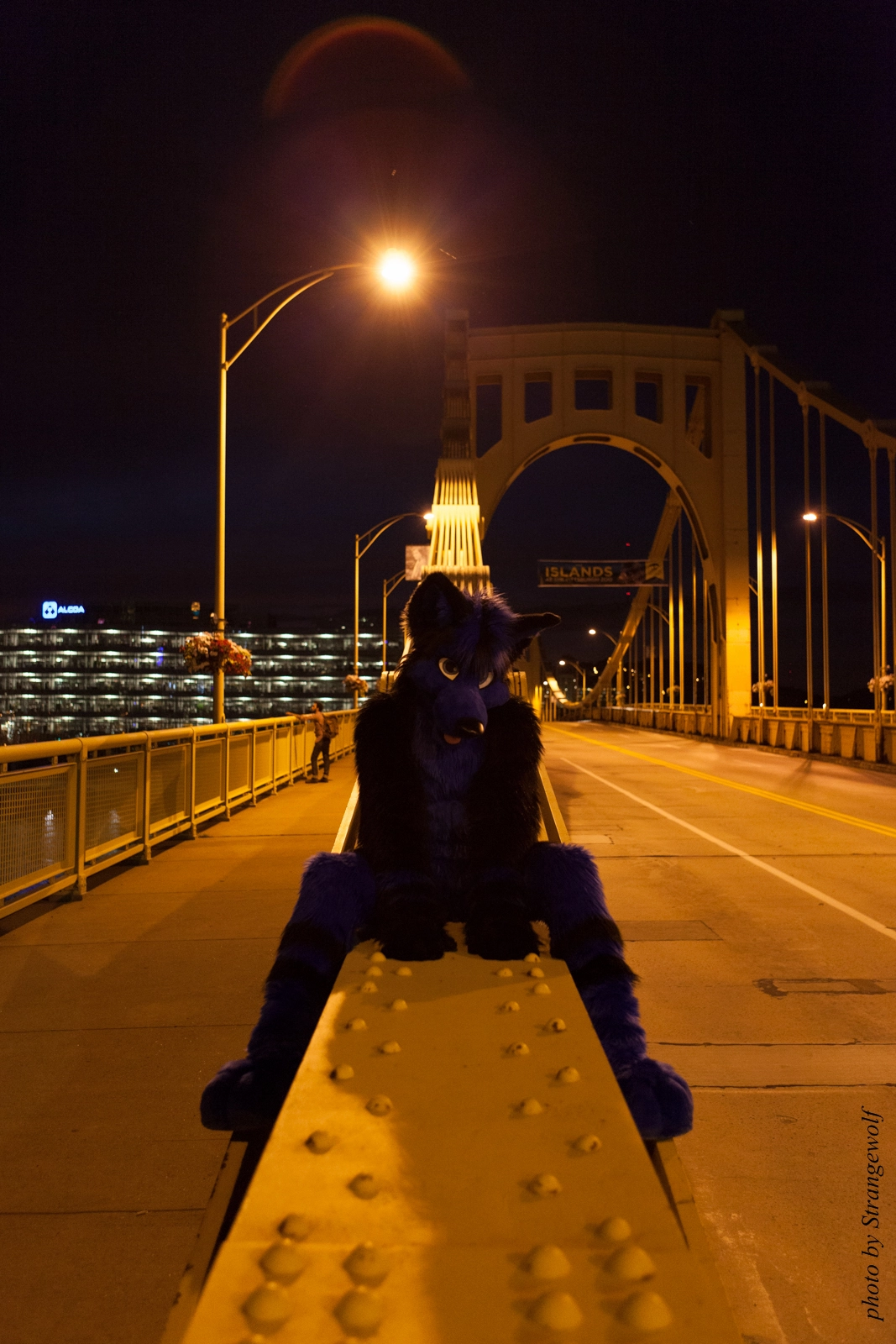 full image IMG_8477-lr16t.jpg