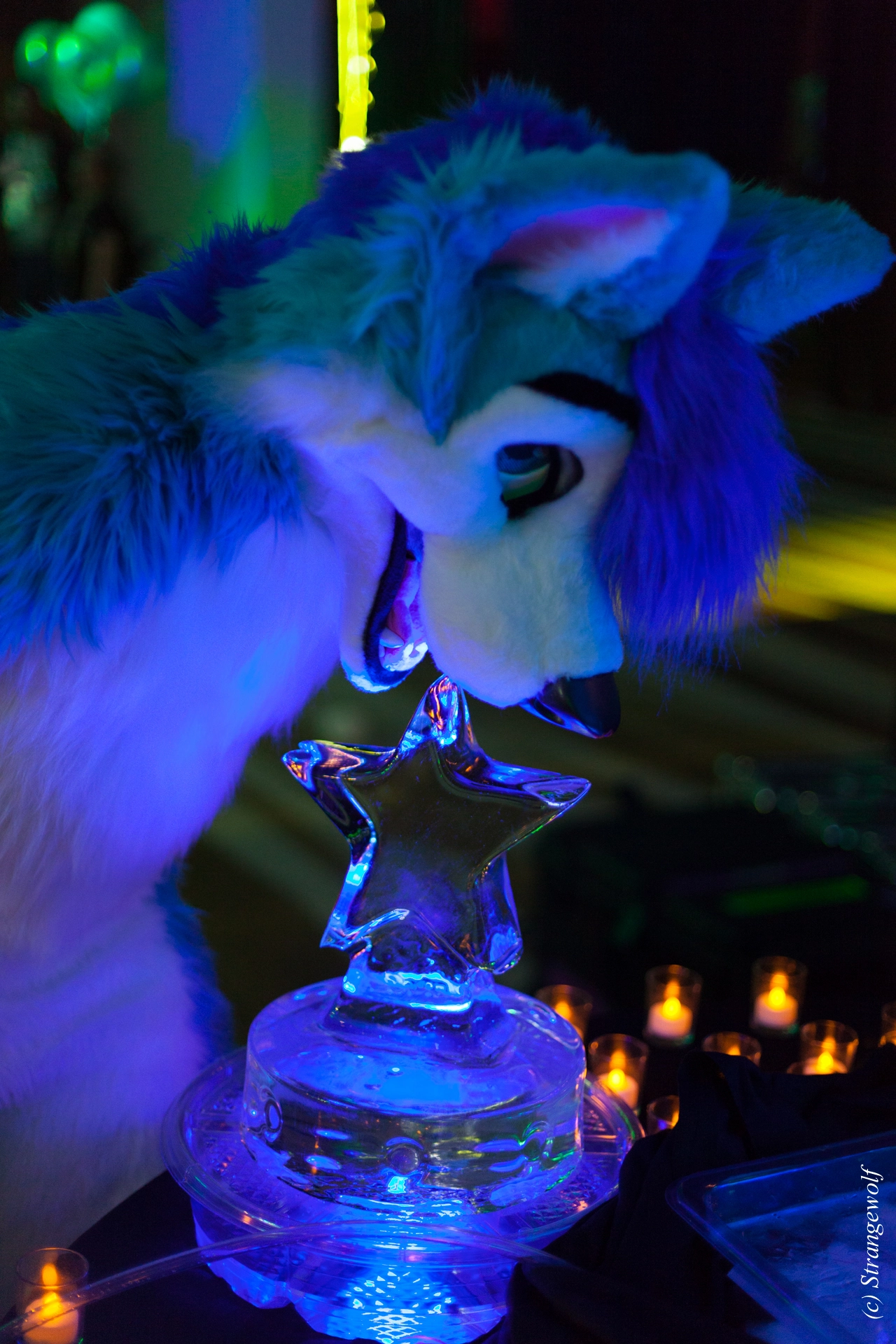 full image IMG_2065-lr19t.jpg