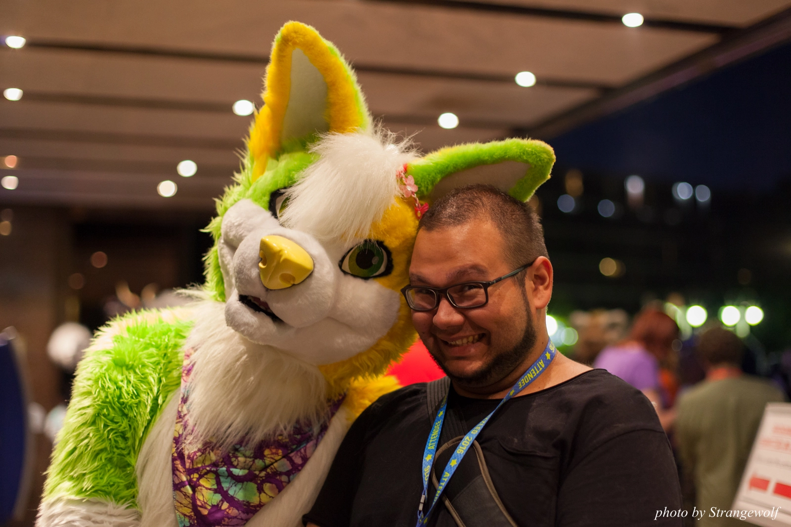 full image IMG_7646-lr16t.jpg