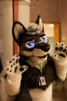 IMG_1762-lr28t.jpg of NFC/NFC2017/