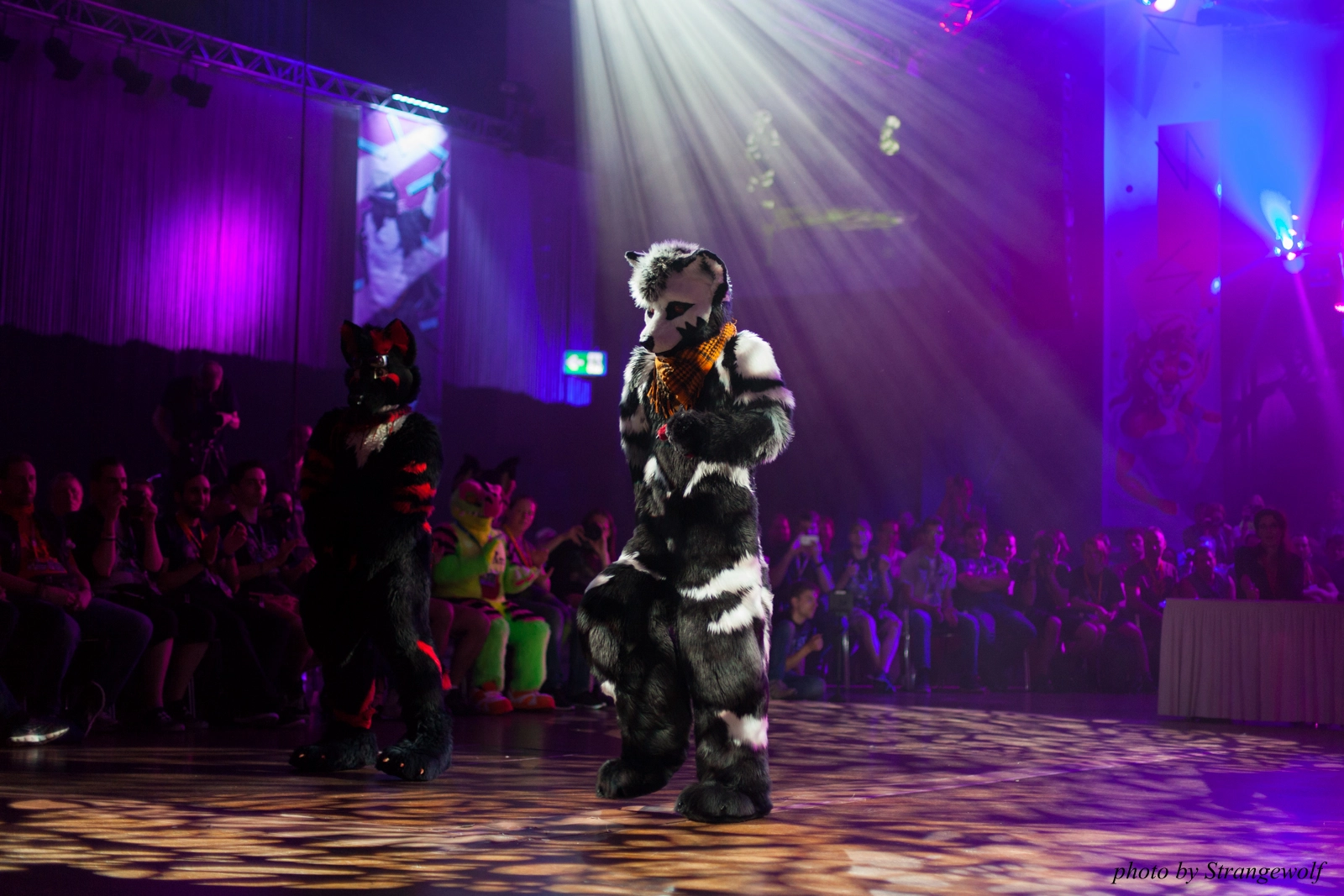 full image IMG_9905-lr16t.jpg