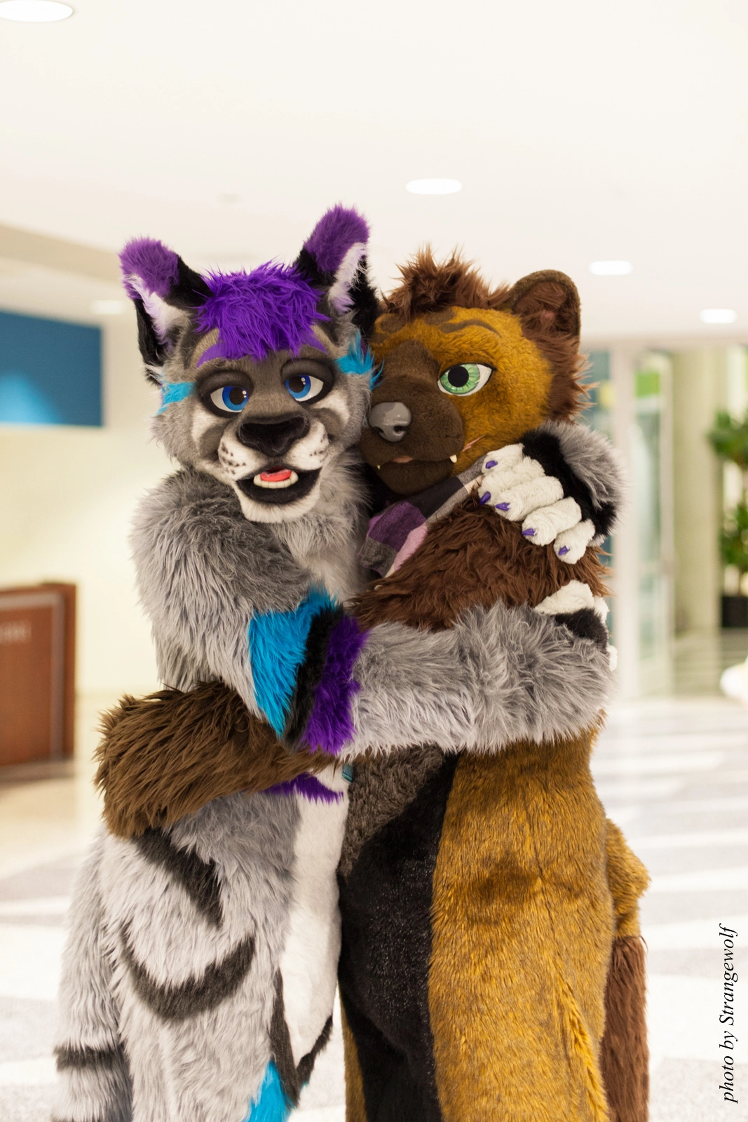 full image IMG_1119-lr16t.jpg