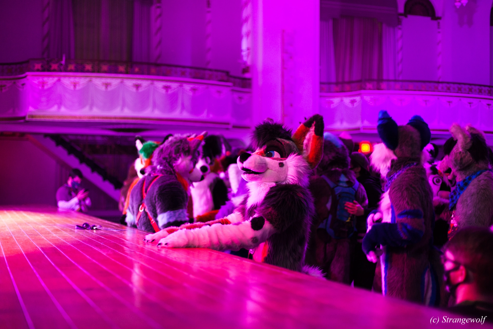 full image IMG_3032-lr19t.jpg