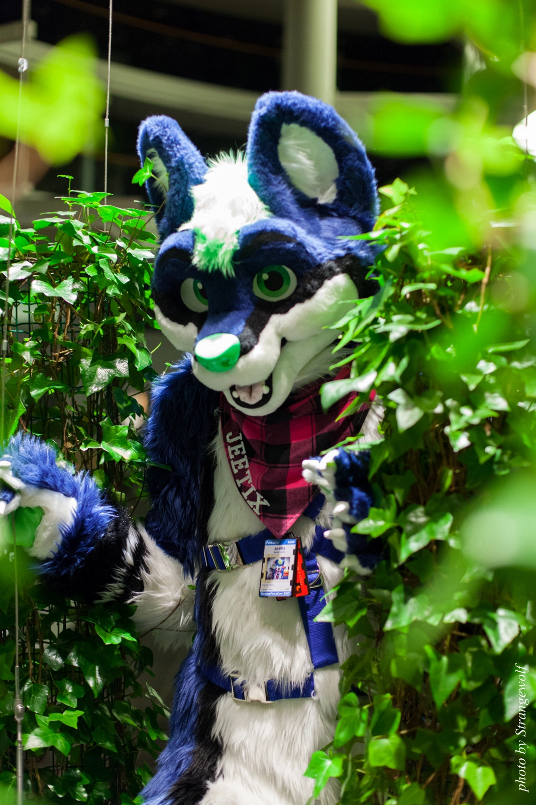 full image IMG_1992-lr16t.jpg