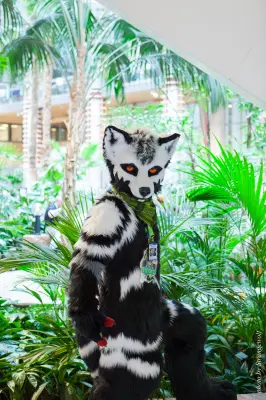 IMG_1655-lr16t.jpg of NFC/NFC2017/