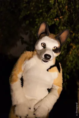 IMG_6423-lr19t.jpg of DFD/DFD2018/