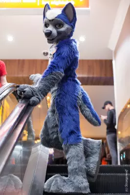 IMG_2637-lr19t.jpg of BLFC/2018/