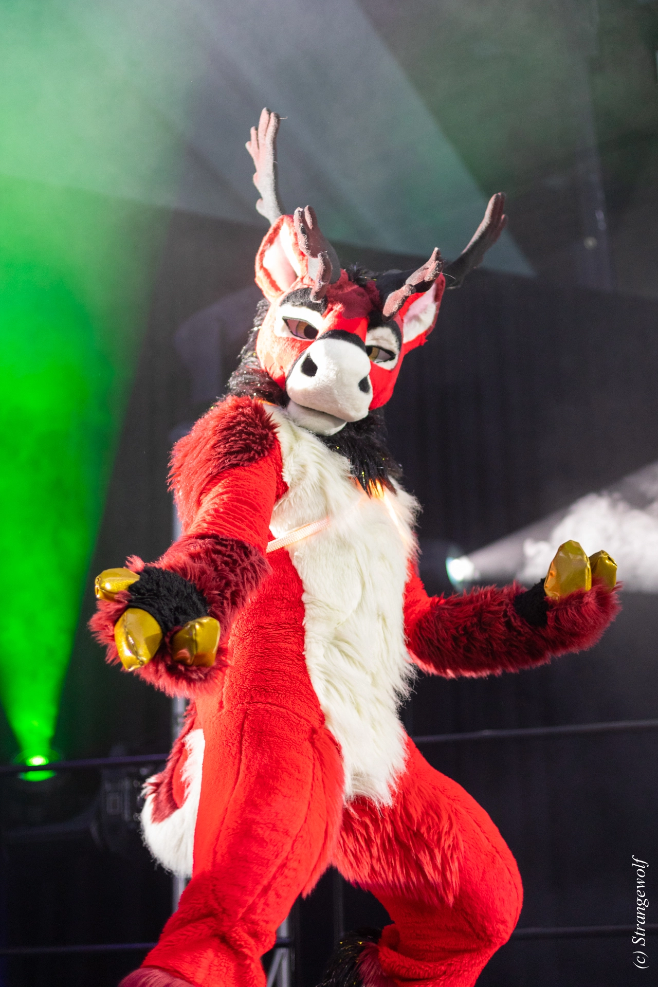 full image 1R3A0406-lr19t.jpg