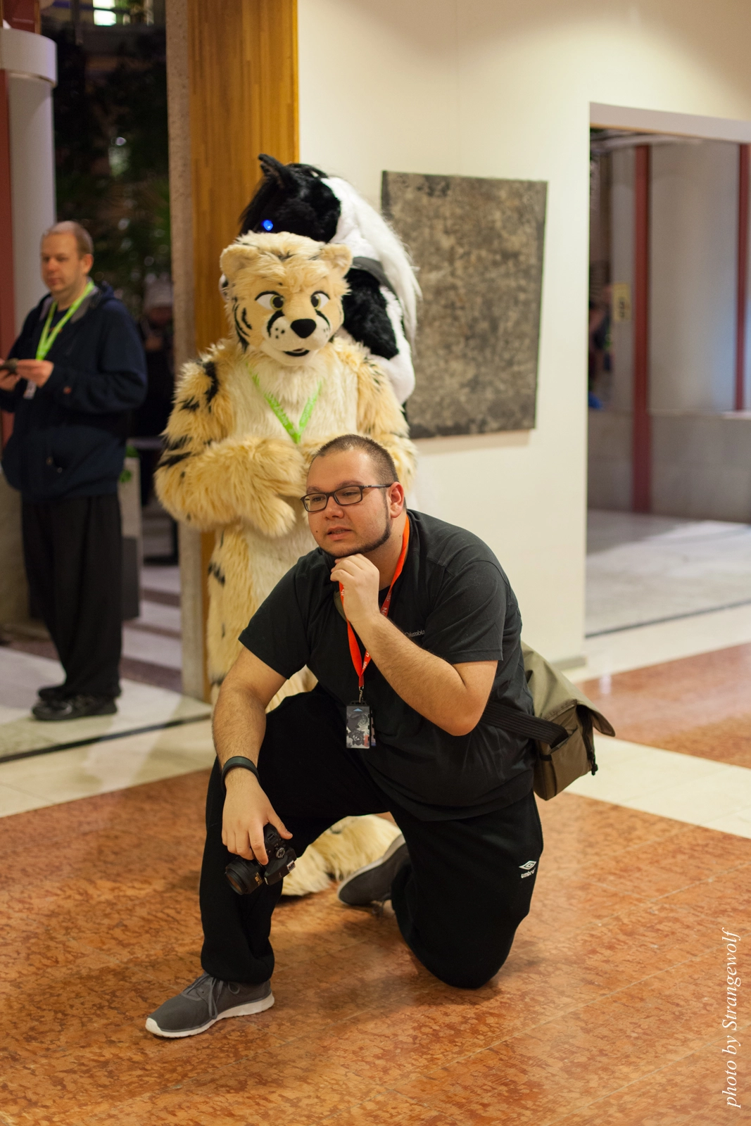 full image IMG_1612-lr16t.jpg