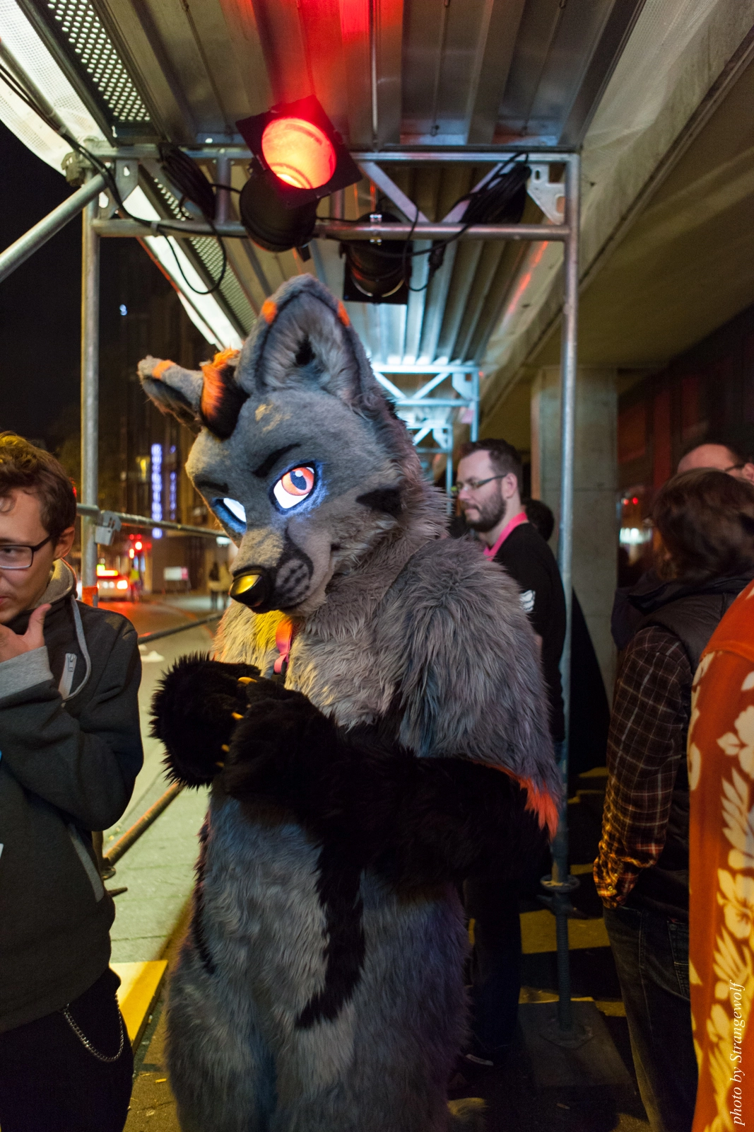 full image IMG_5451-lr16t.jpg