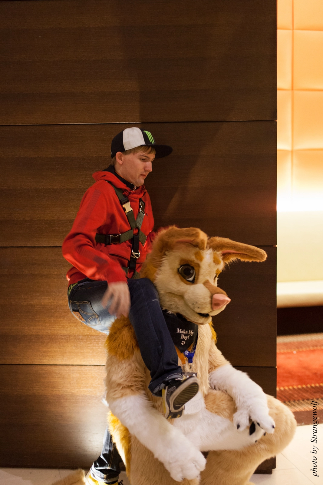 full image IMG_4212-lr16t.jpg