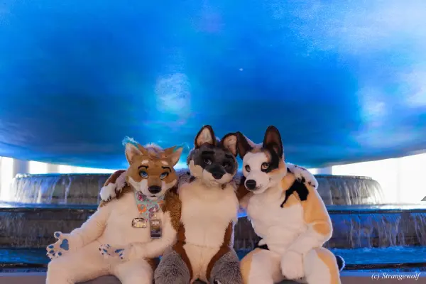 IMG_1667-lr19t.jpg of FWA/FWA2018/