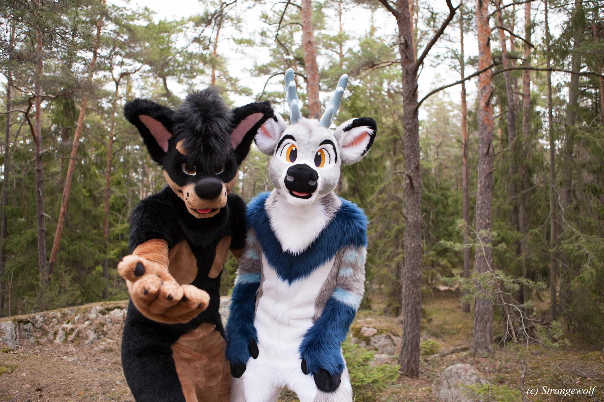 full image IMG_8562-lr19t.jpg