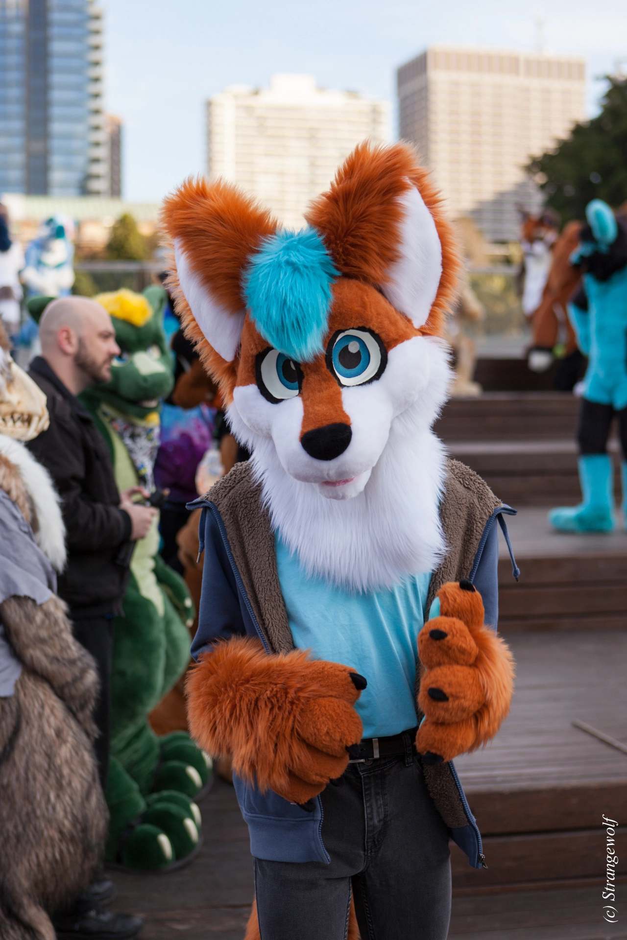 full image IMG_4611-lr19t.jpg