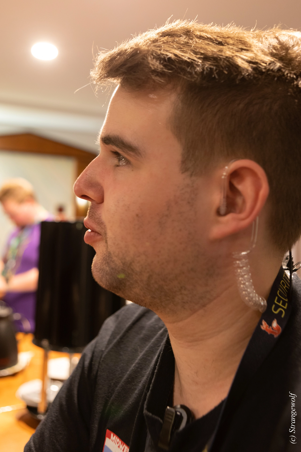 full image 1R3A3368-lr19t.jpg