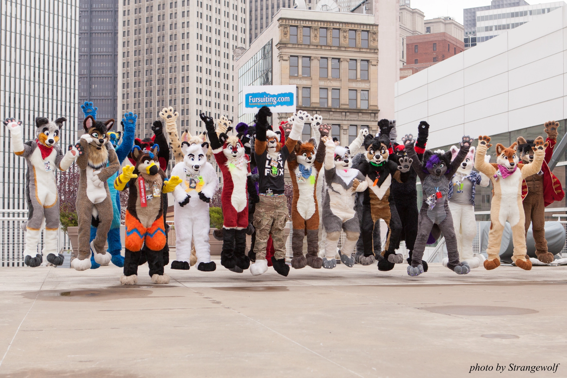 full image IMG_9637-lr19t.jpg